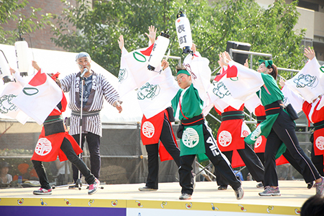 OMO_689.jpg